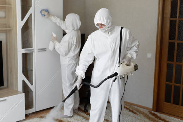 24/7 Emergency Odor Removal experts in Newton, IL