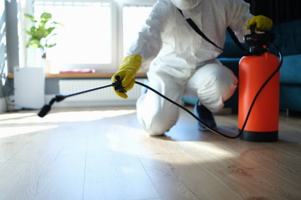 Reliable Odor Removal contractor in Newton, IL by Trauma Clean Pros